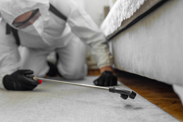 Professional Bed Bug Control technician working in Lincolnton, NC