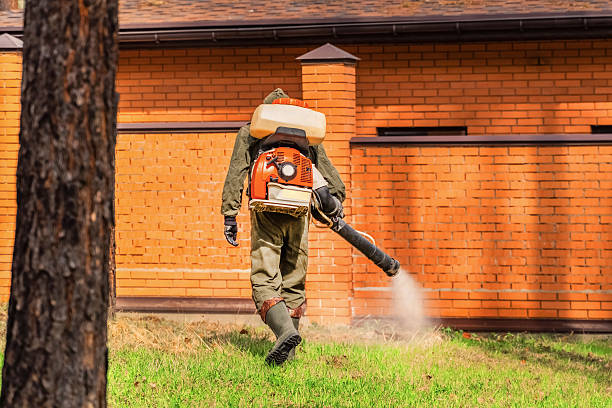 Trusted Mosquito Control service in Lincolnton, NC - Nex Pest Control